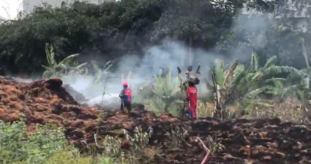 Gudang Arang di Tanjung Bintang Terbakar Hebat, Kedok Usaha Ilegal Mulai Terbongkar?
