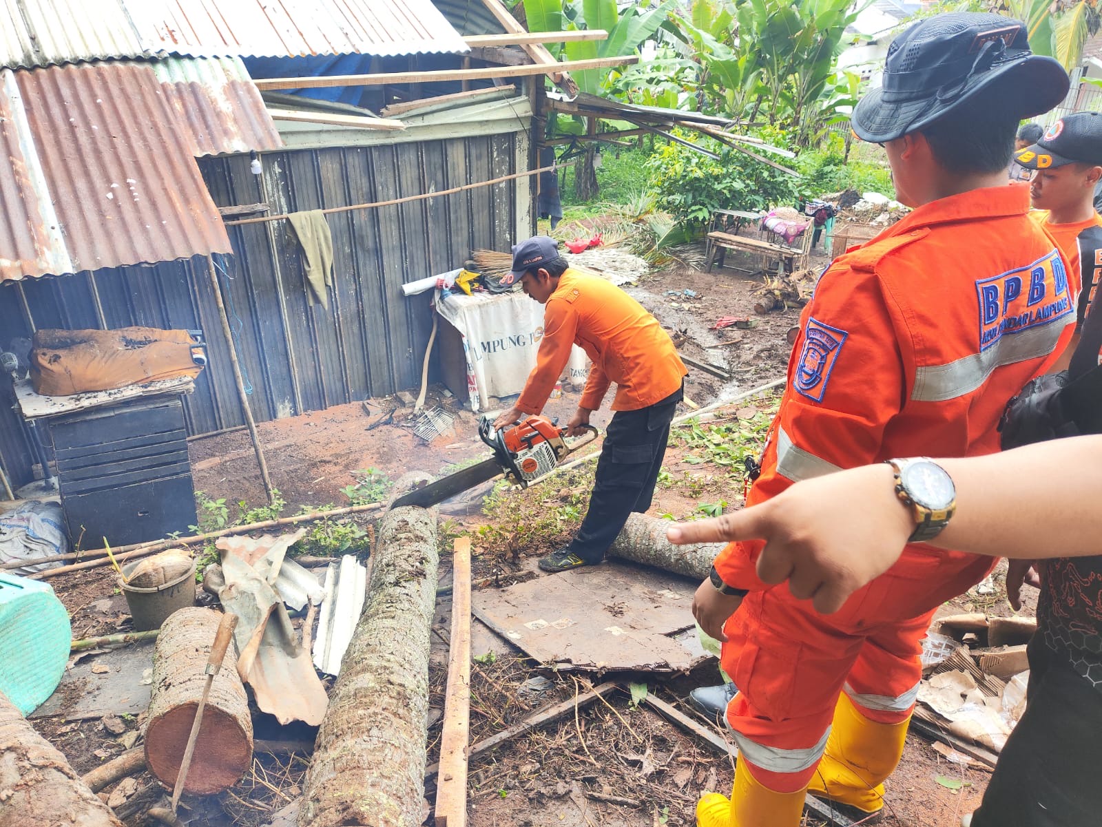 Waspada! Cuaca Ekstrem Terjang Bandar Lampung: Dari Pohon Tumbang hingga Longsor