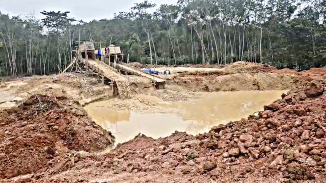 Polda Lampung “Gempur” Tambang Emas Ilegal di Lahan PTPN: 41 Eskavator Disita, 14 Orang Jadi Tersangka!