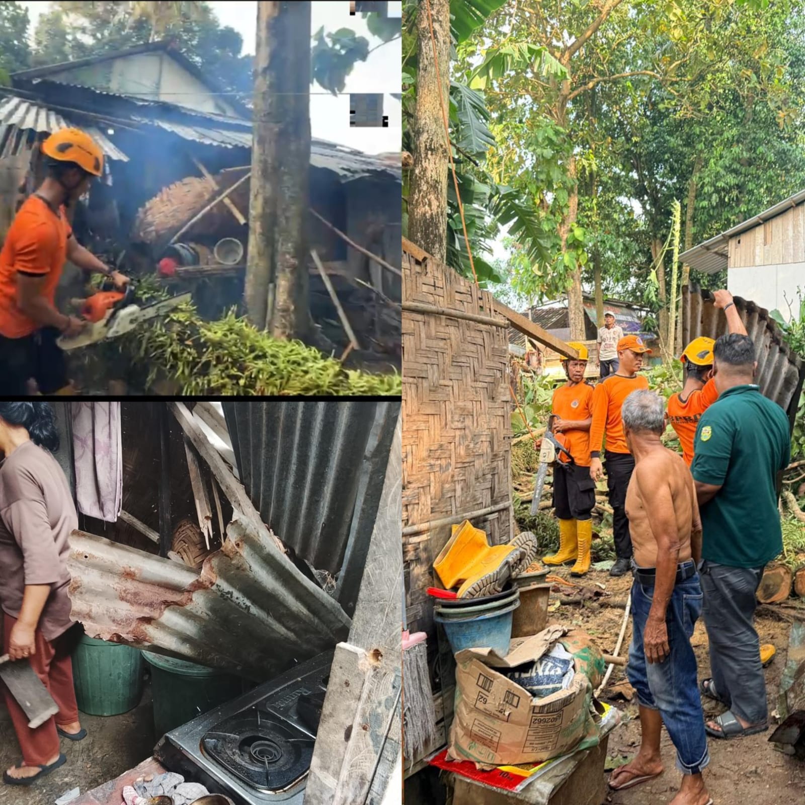 Pohon Jati Patah Timpa Atap Dapur Warga Kedaton, BPBD Evakuasi