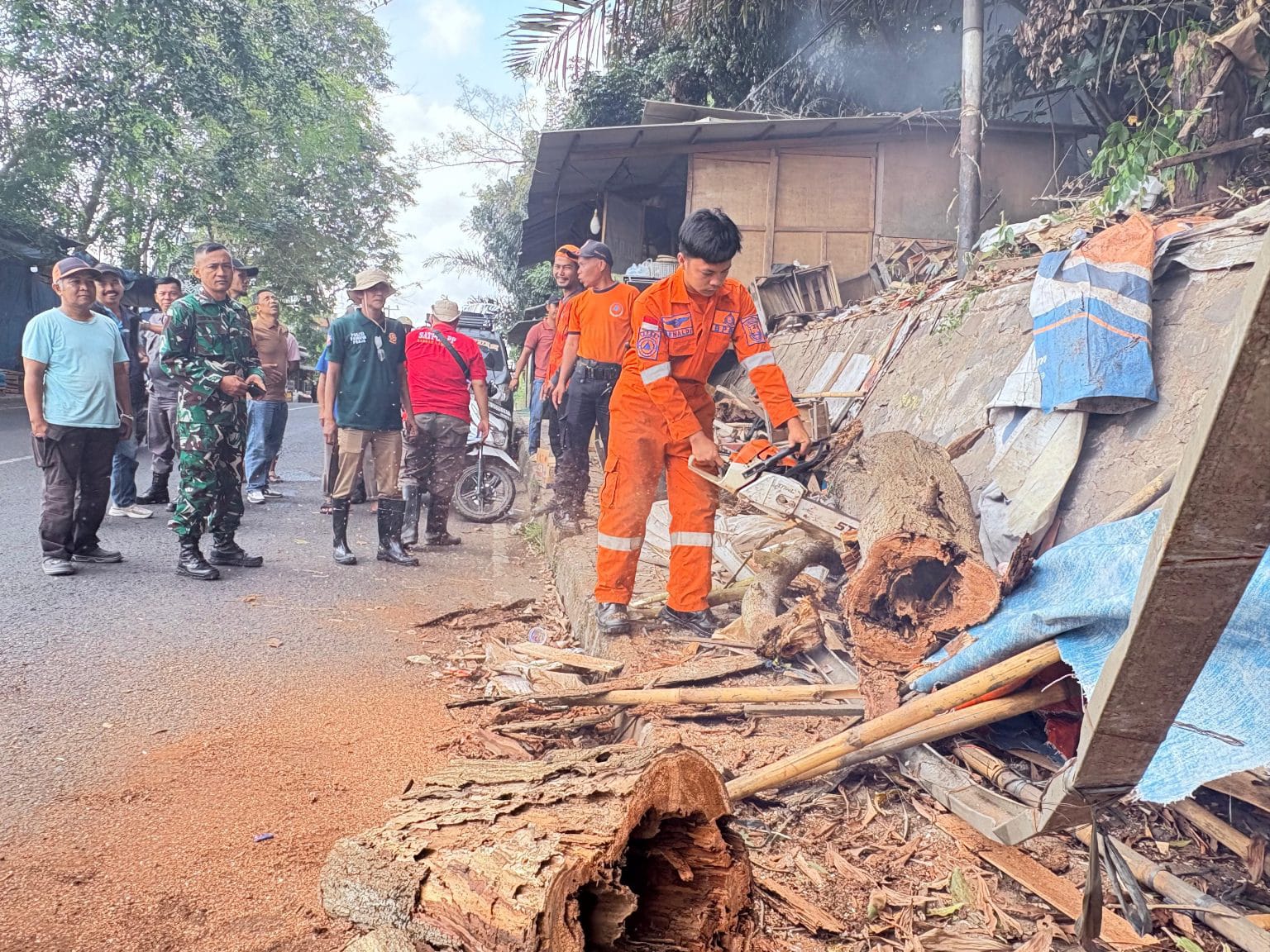 Pohon Akasia Tumbang Timpa Kios di Gedong Air, BPBD Evakuasi Material